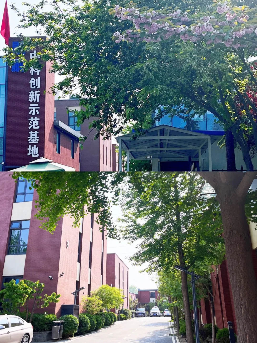微信图片_20230417145351.jpg